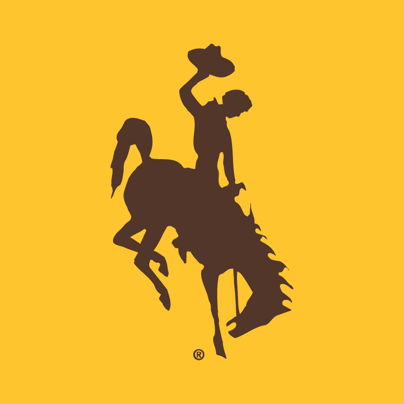 Wyoming Cowboys 2006-Pres Alternate Logo iron on transfers for clothing